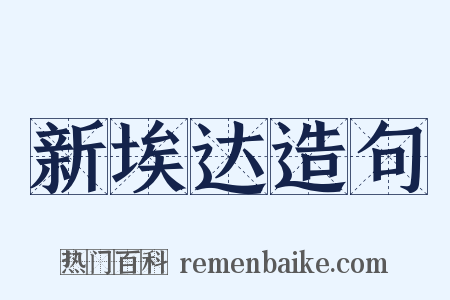 新埃达造句是什么意思的图片